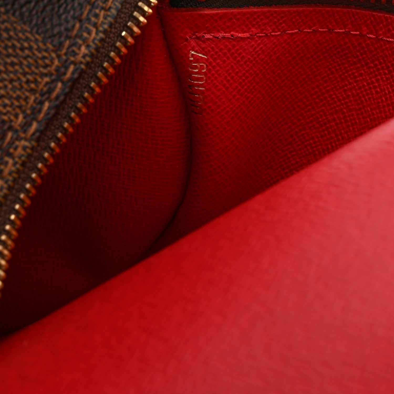 Louis Vuitton Damier Ebene Papillon 30 With Companion