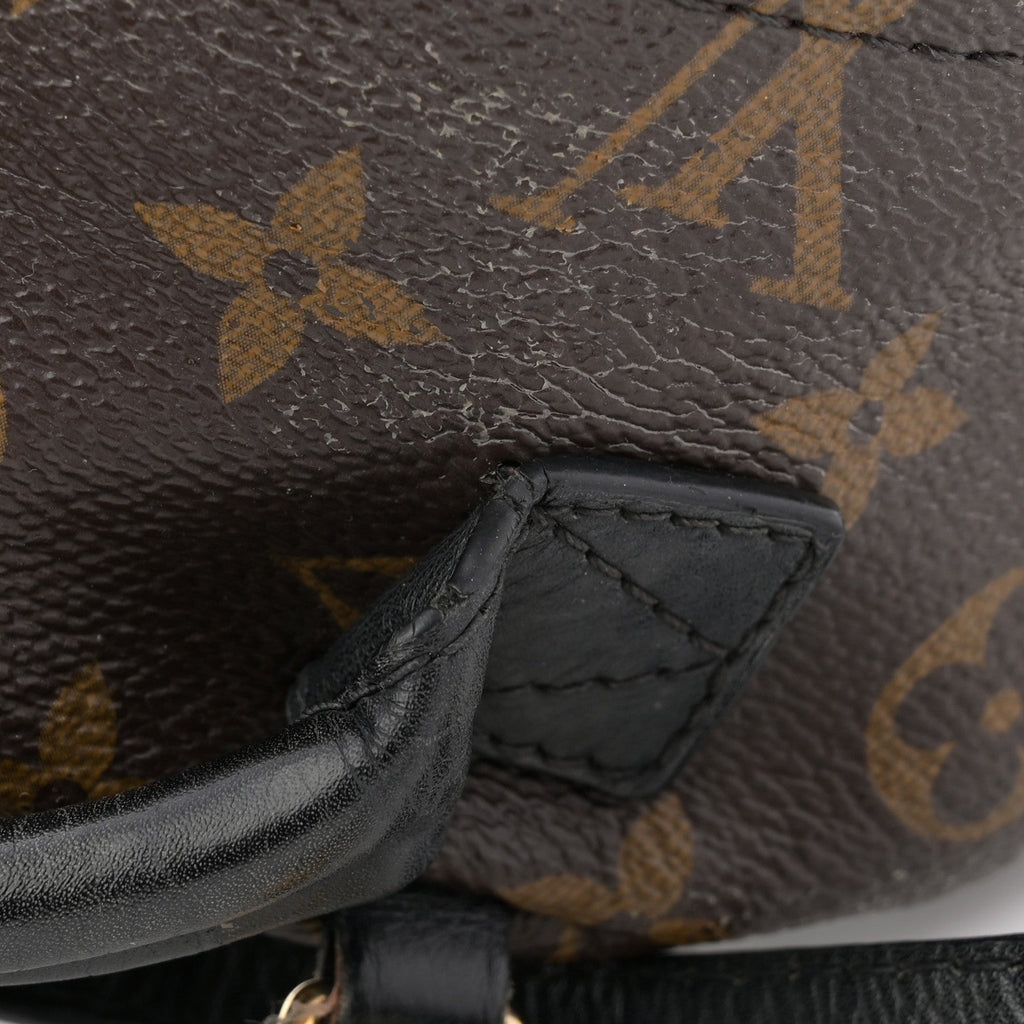 Louis Vuitton Monogram Palm Springs Backpack Mini