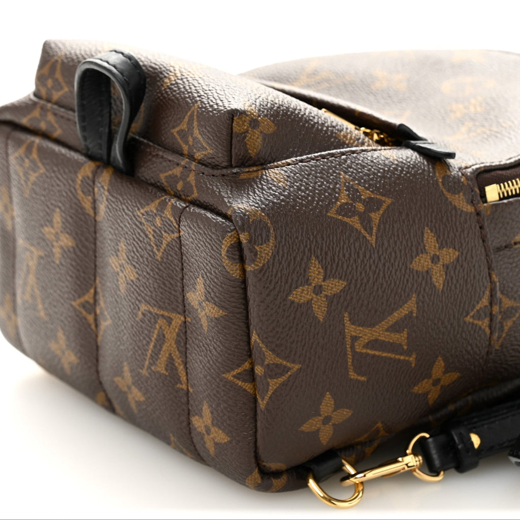 Louis Vuitton Monogram Palm Springs Backpack Mini