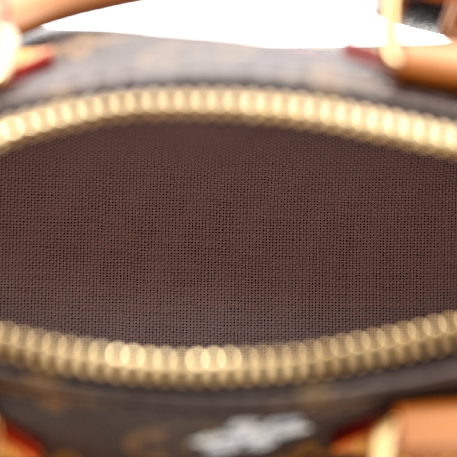 Louis Vuitton Monogram Vivienne Nano Speedy