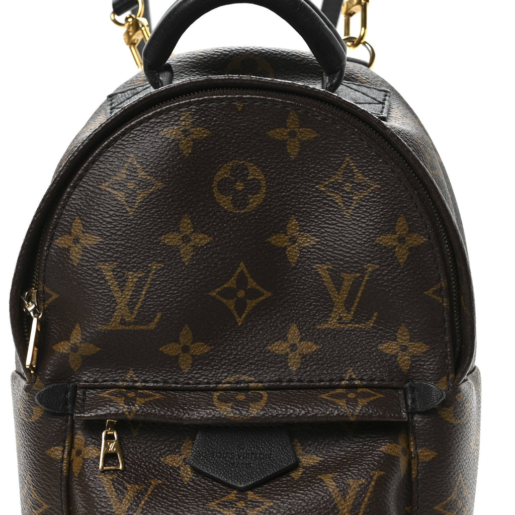 Louis Vuitton Monogram Palm Springs Backpack Mini