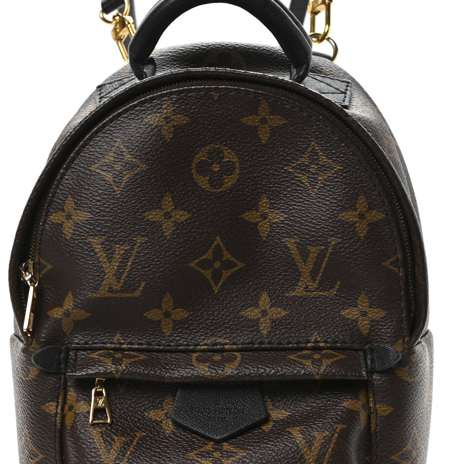 Louis Vuitton Monogram Palm Springs Backpack Mini