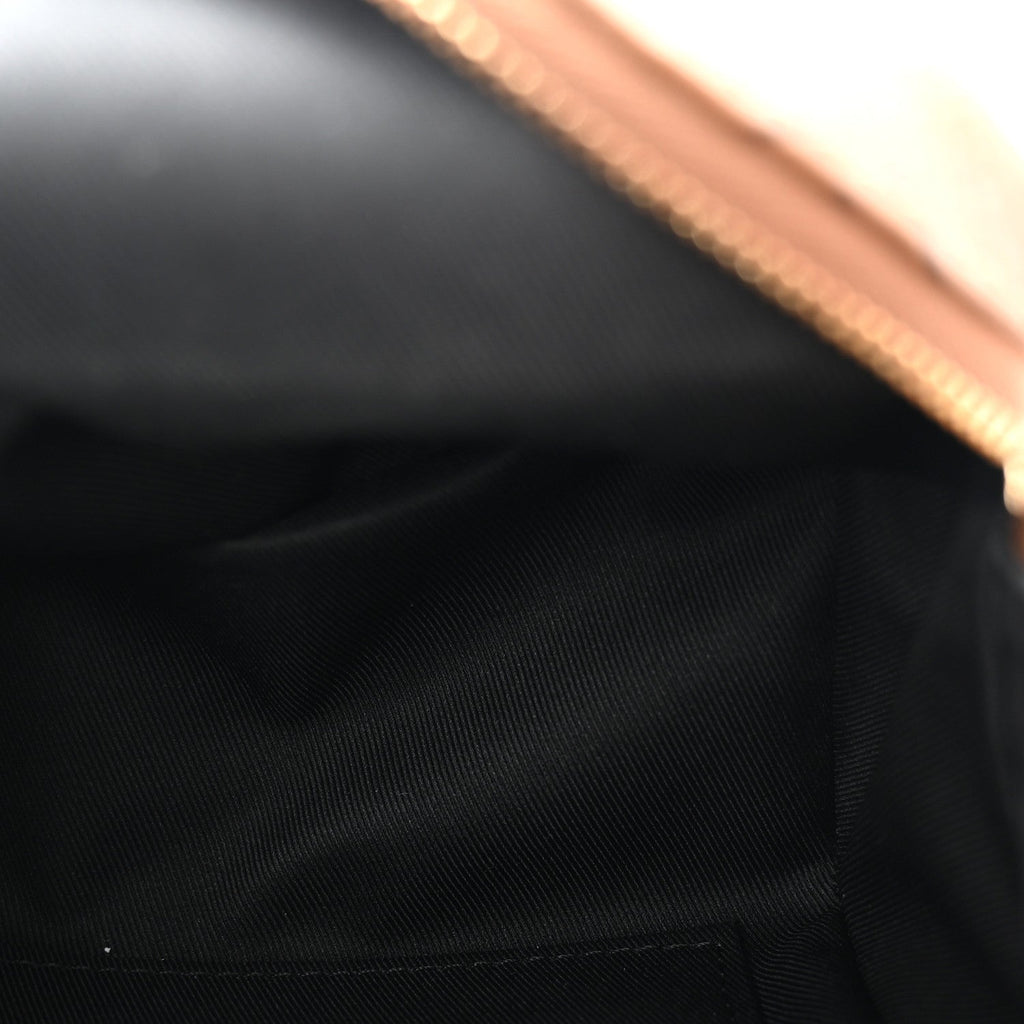 Louis Vuitton Reverse Monogram Palm Springs Backpack Mini