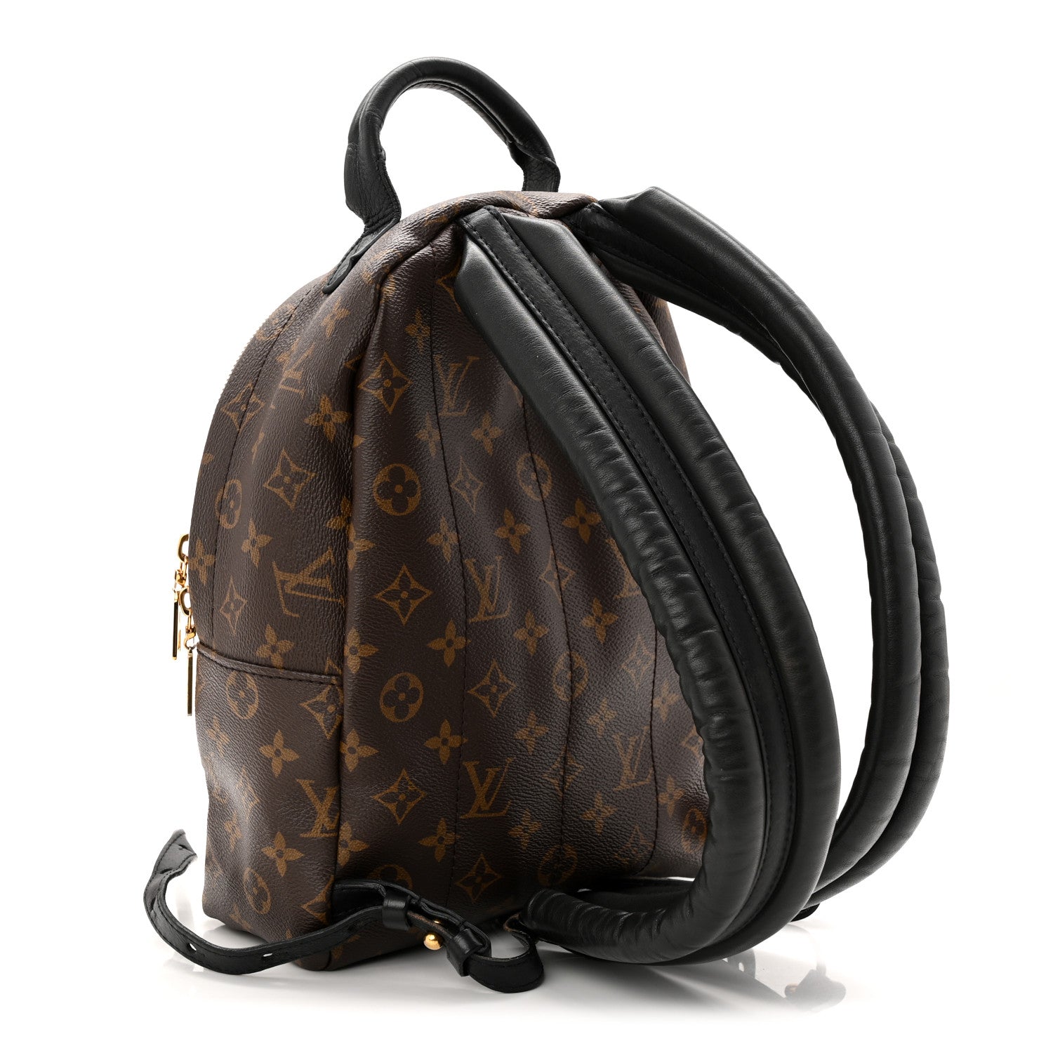 Louis Vuitton Monogram Palm Springs Backpack PM