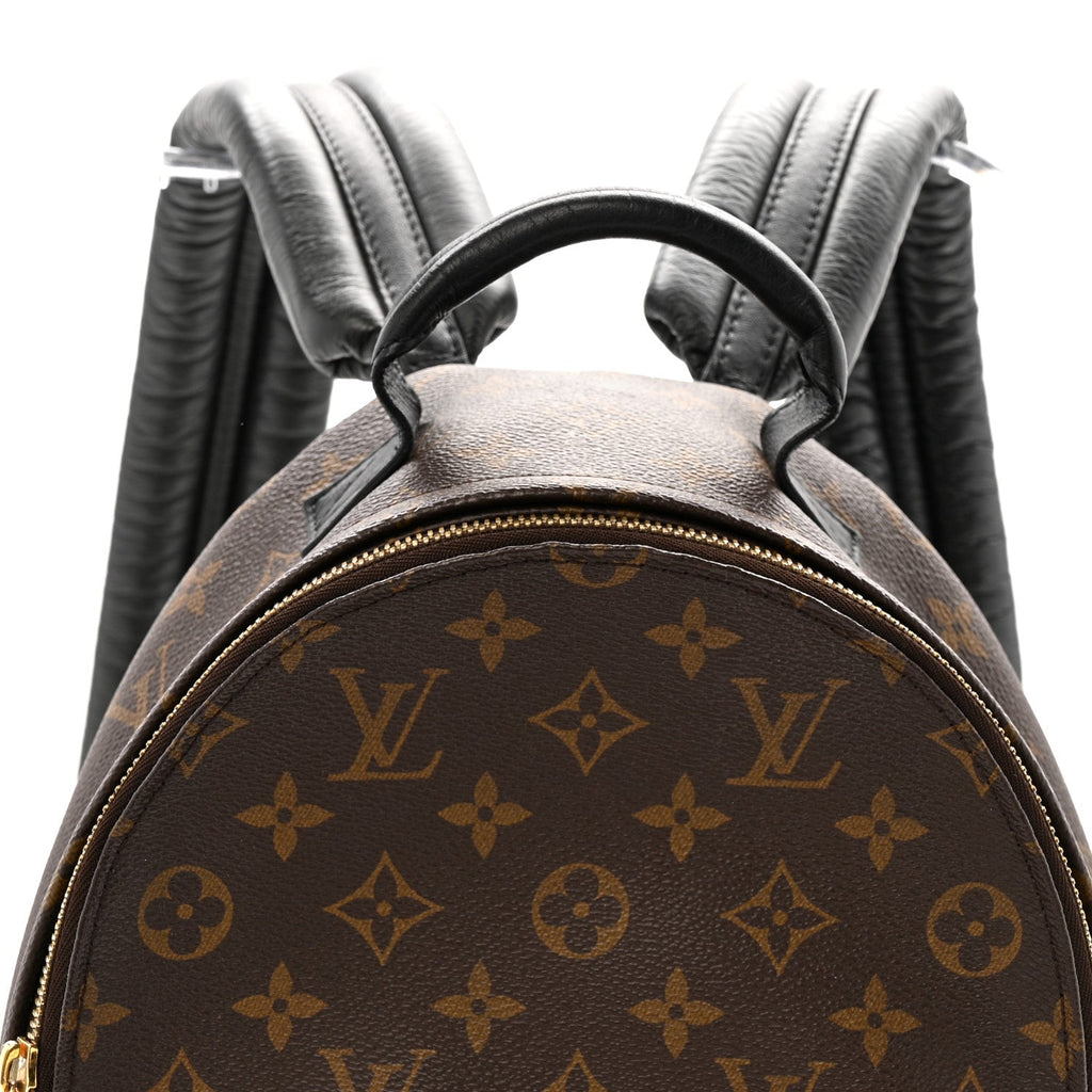 Louis Vuitton Reverse Monogram Palm Springs Backpack PM