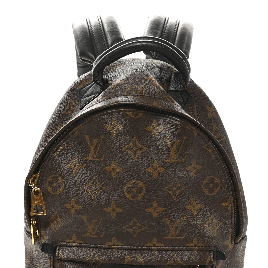Louis Vuitton Monogram Palm Springs Backpack PM