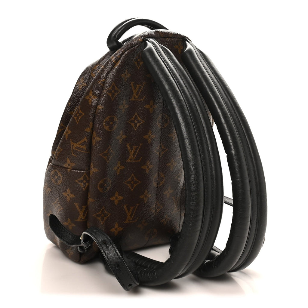 Louis Vuitton Monogram Palm Springs Backpack PM