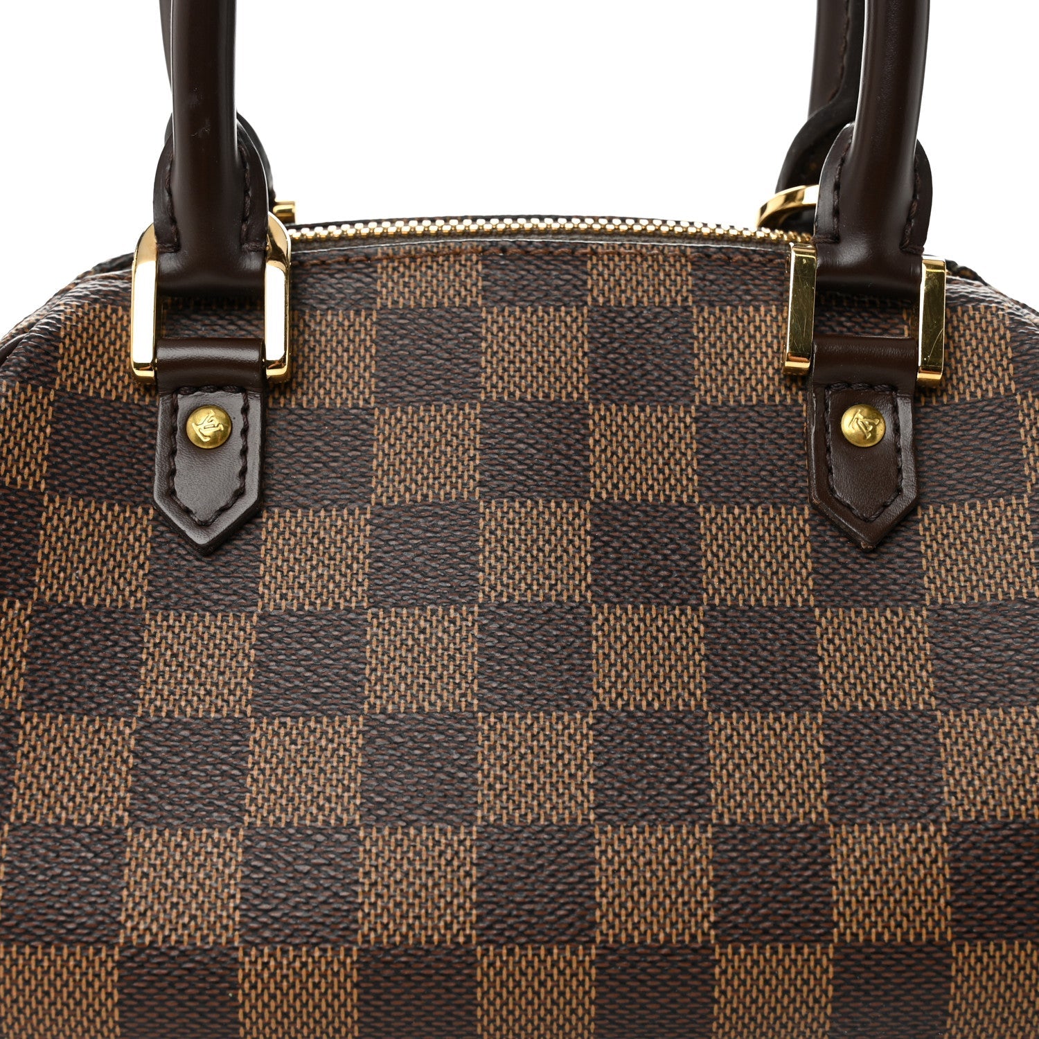 Louis Vuitton Damier Ebene Ribera Mini