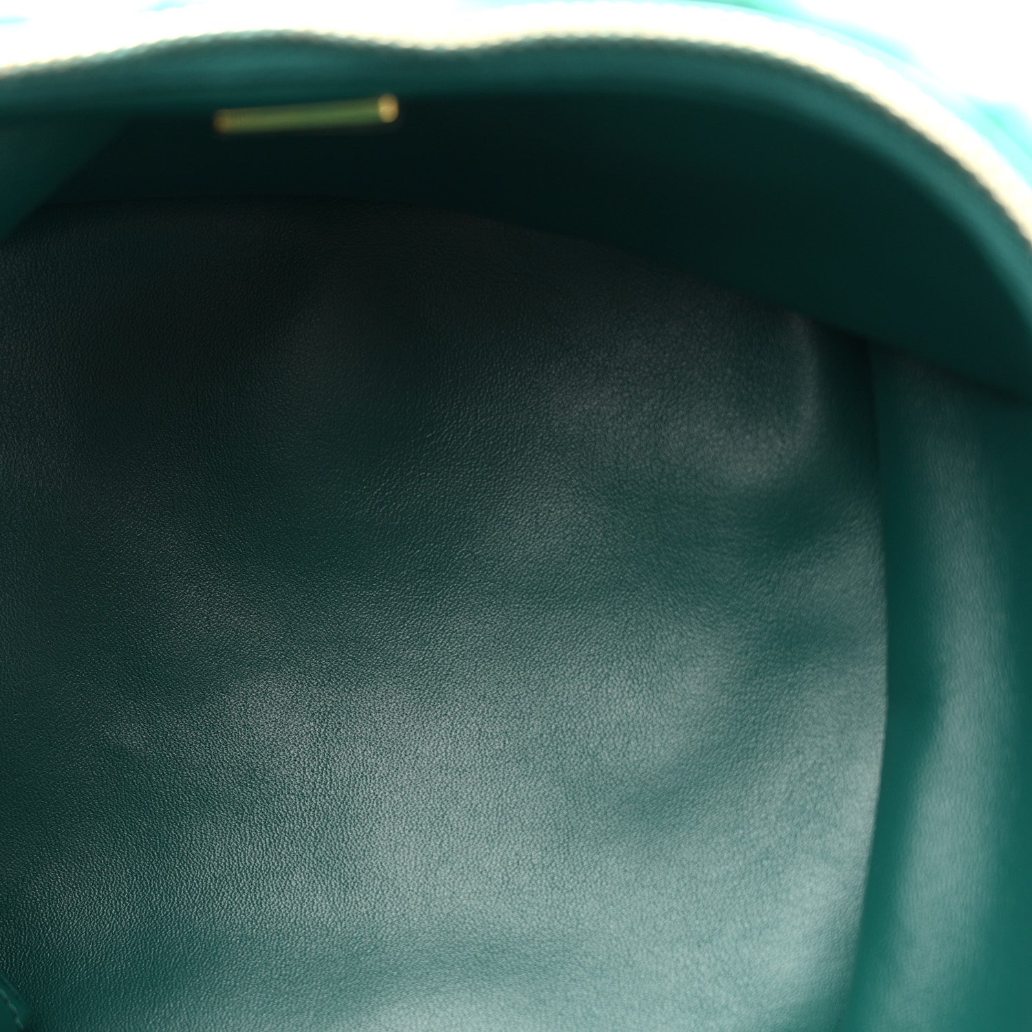Chanel Shearling Lambskin Quilted Small Vanity Case Green