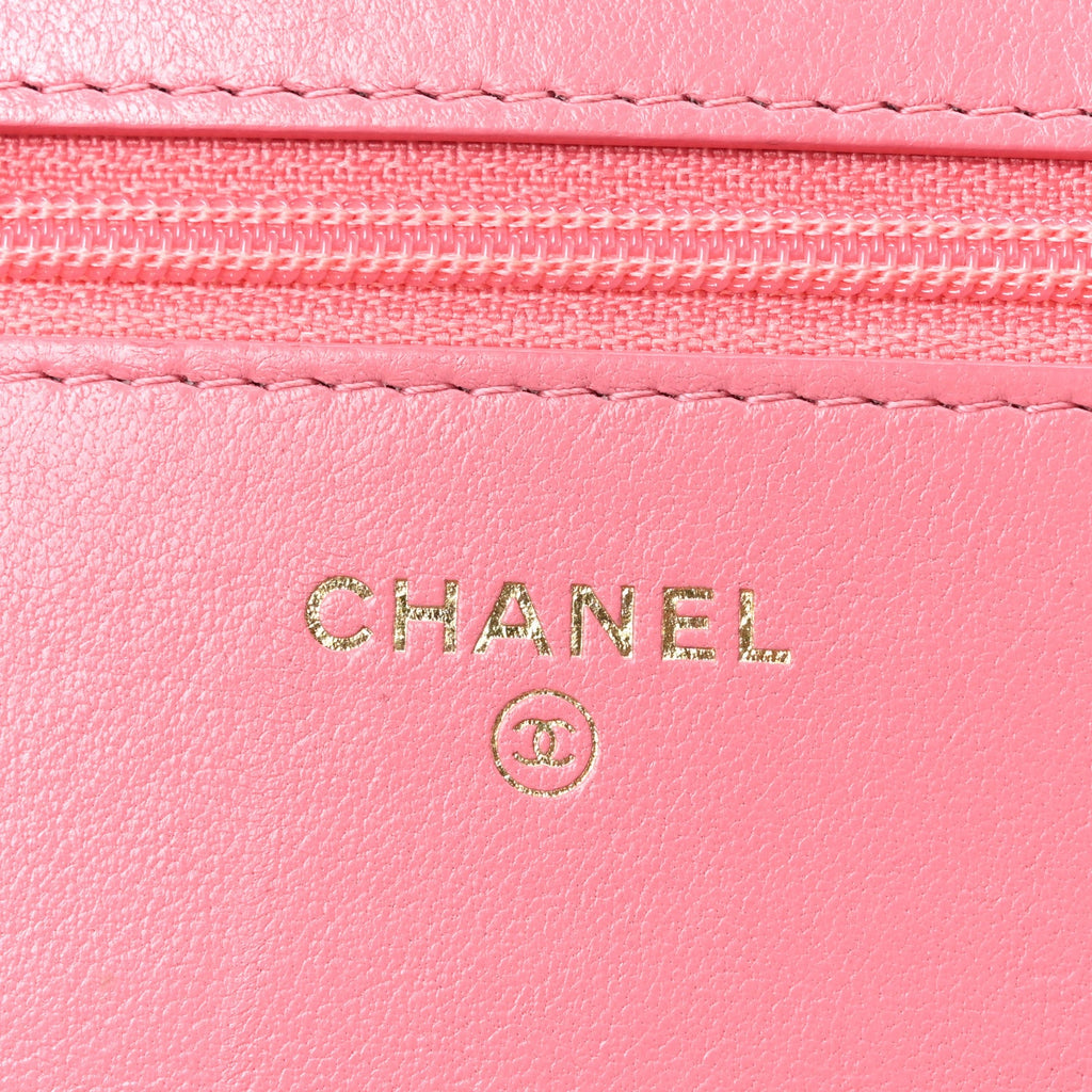 Chanel Lambskin Quilted Chanel 19 Wallet On Chain WOC Pink