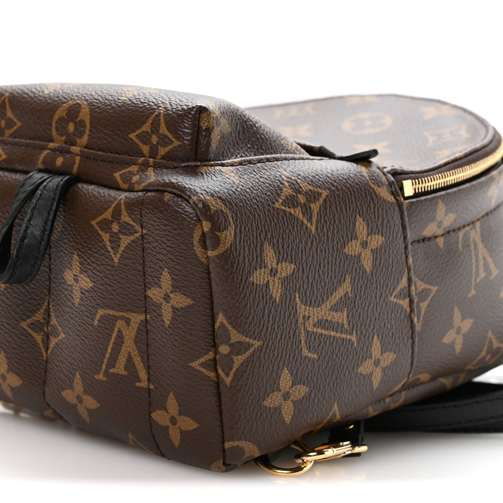 Louis Vuitton Monogram Palm Springs Backpack Mini