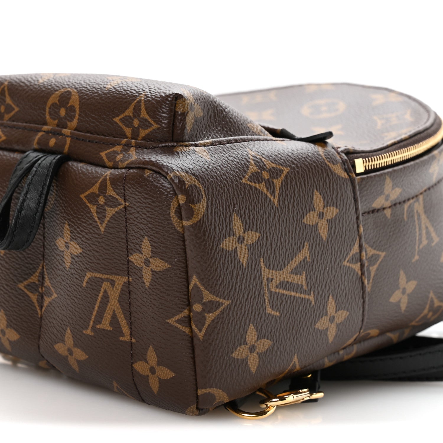 Louis Vuitton Monogram Palm Springs Backpack Mini