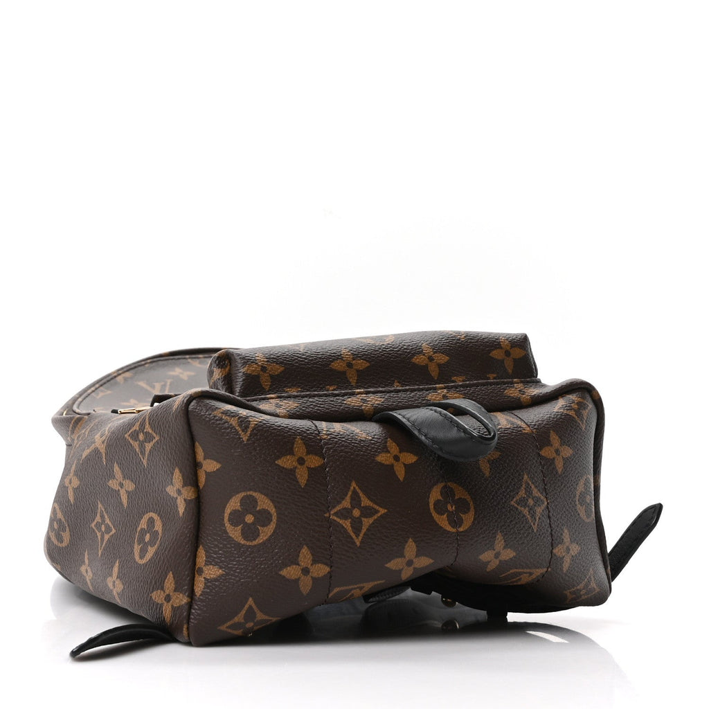 Louis Vuitton Monogram Palm Springs Backpack PM