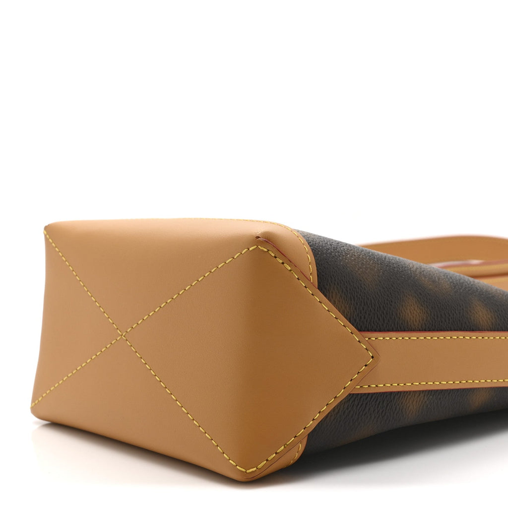 Louis Vuitton Monogram Blurry Hobo Cruiser PM