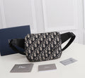 Dior Bags - 2754