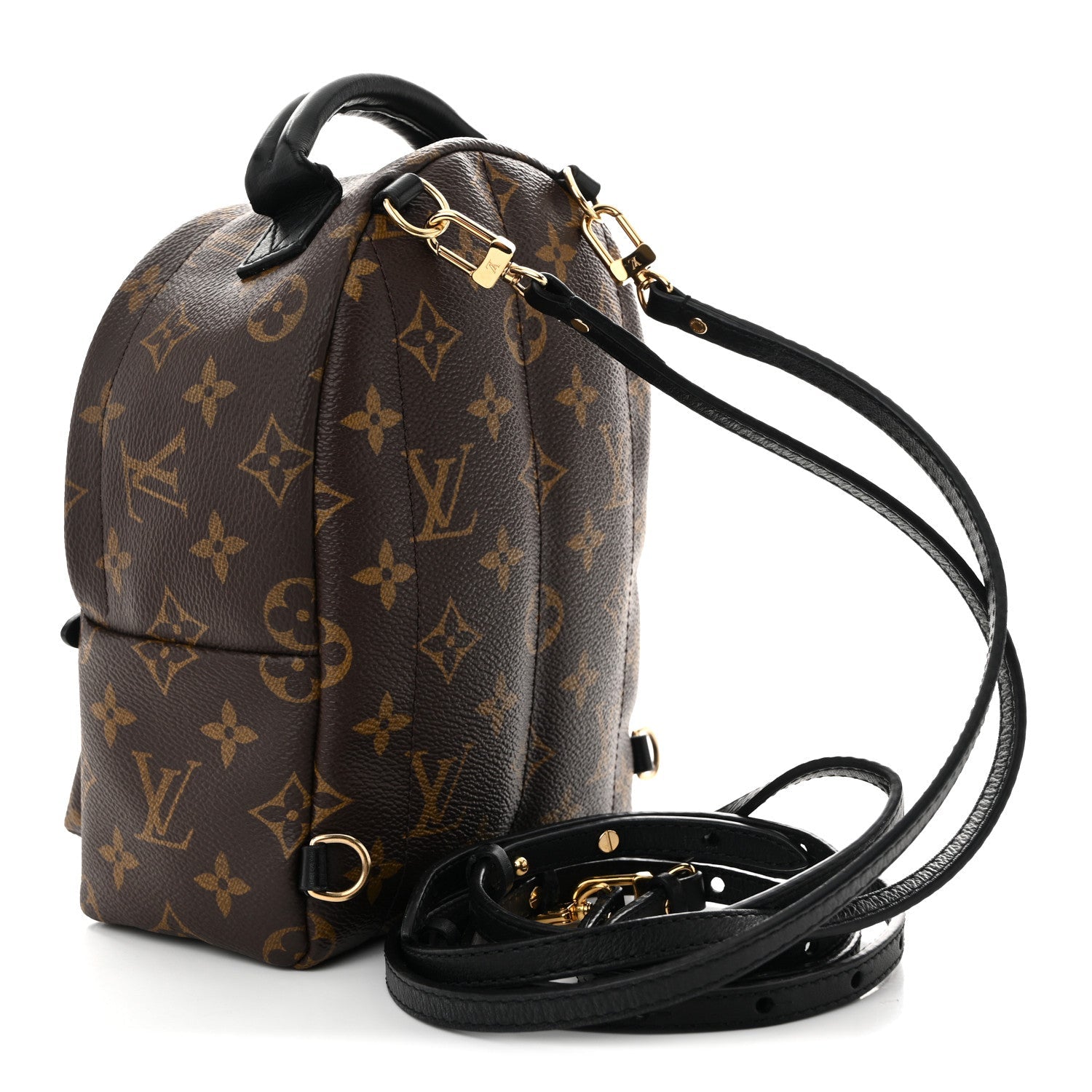 Louis Vuitton Monogram Palm Springs Backpack Mini