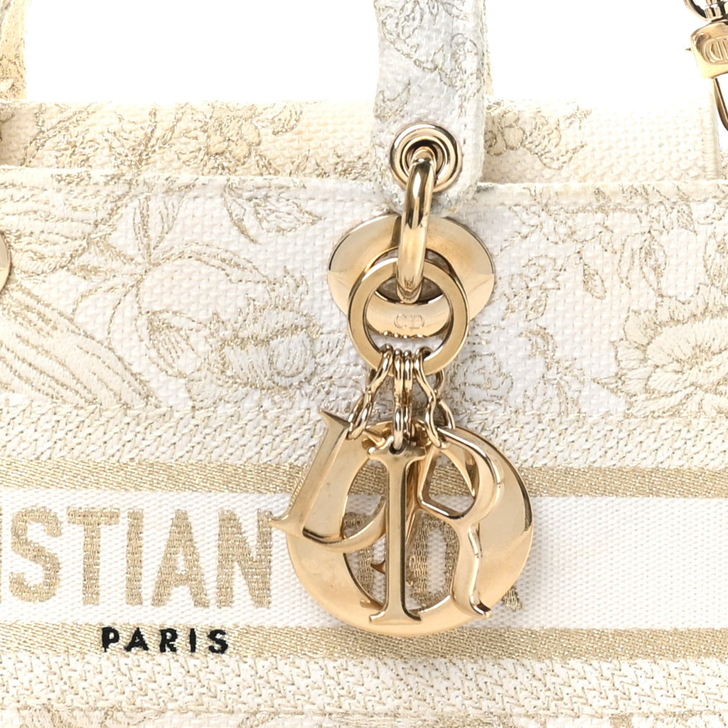 Christian Dior Canvas Embroidered Medium Jardin D'Hiver Lady D-Joy White Gold