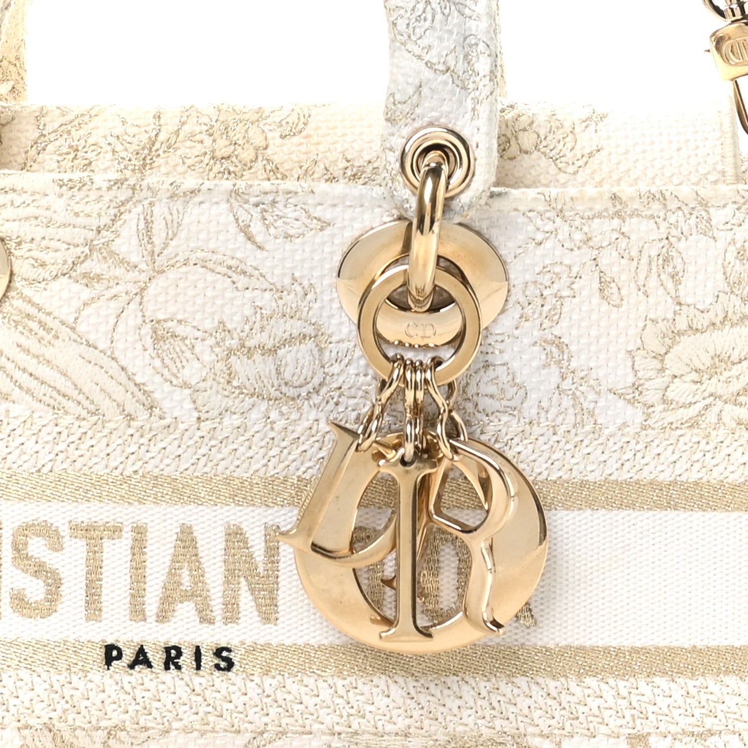Christian Dior Canvas Embroidered Medium Jardin D'Hiver Lady D-Joy White Gold