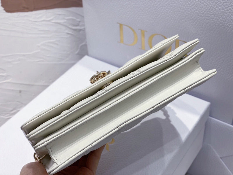 Dior Bag