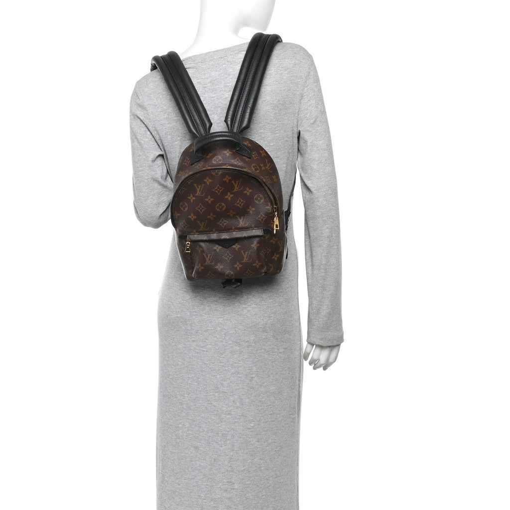 Louis Vuitton Monogram Palm Springs Backpack PM
