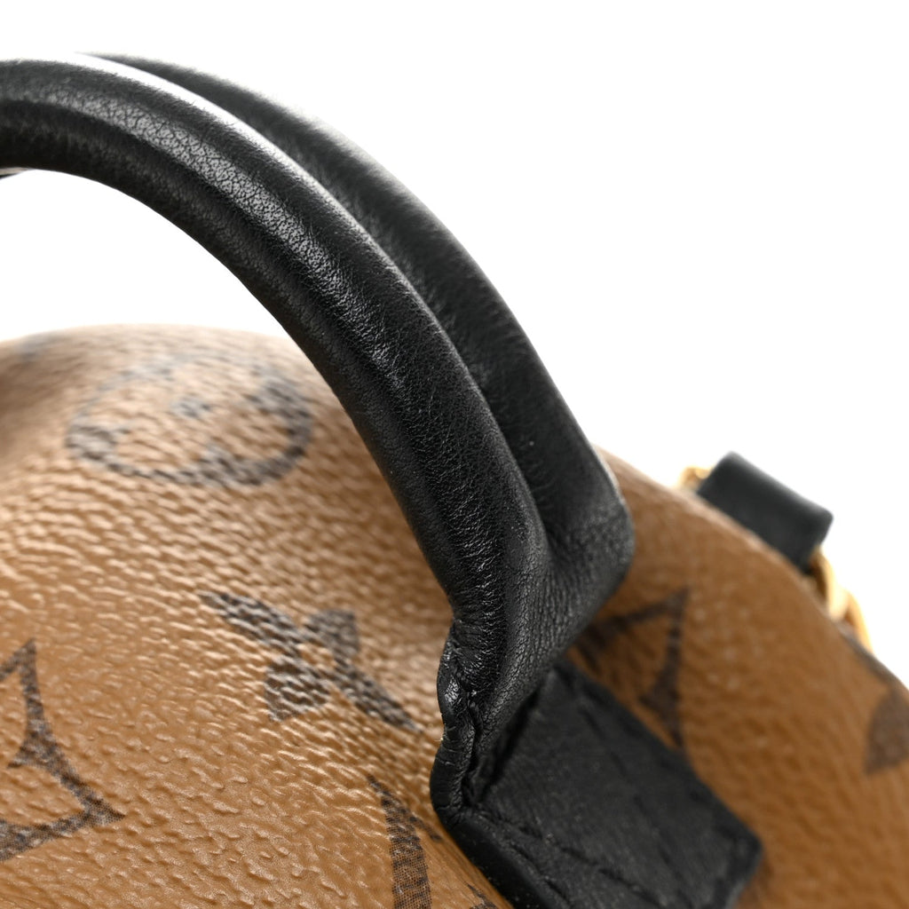 Louis Vuitton Reverse Monogram Palm Springs Backpack Mini