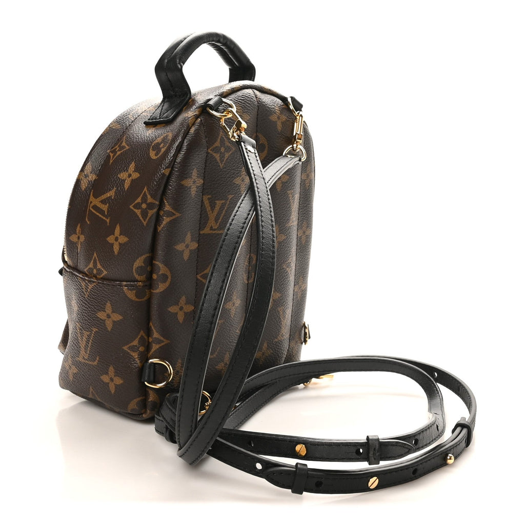 Louis Vuitton Monogram Palm Springs Backpack Mini
