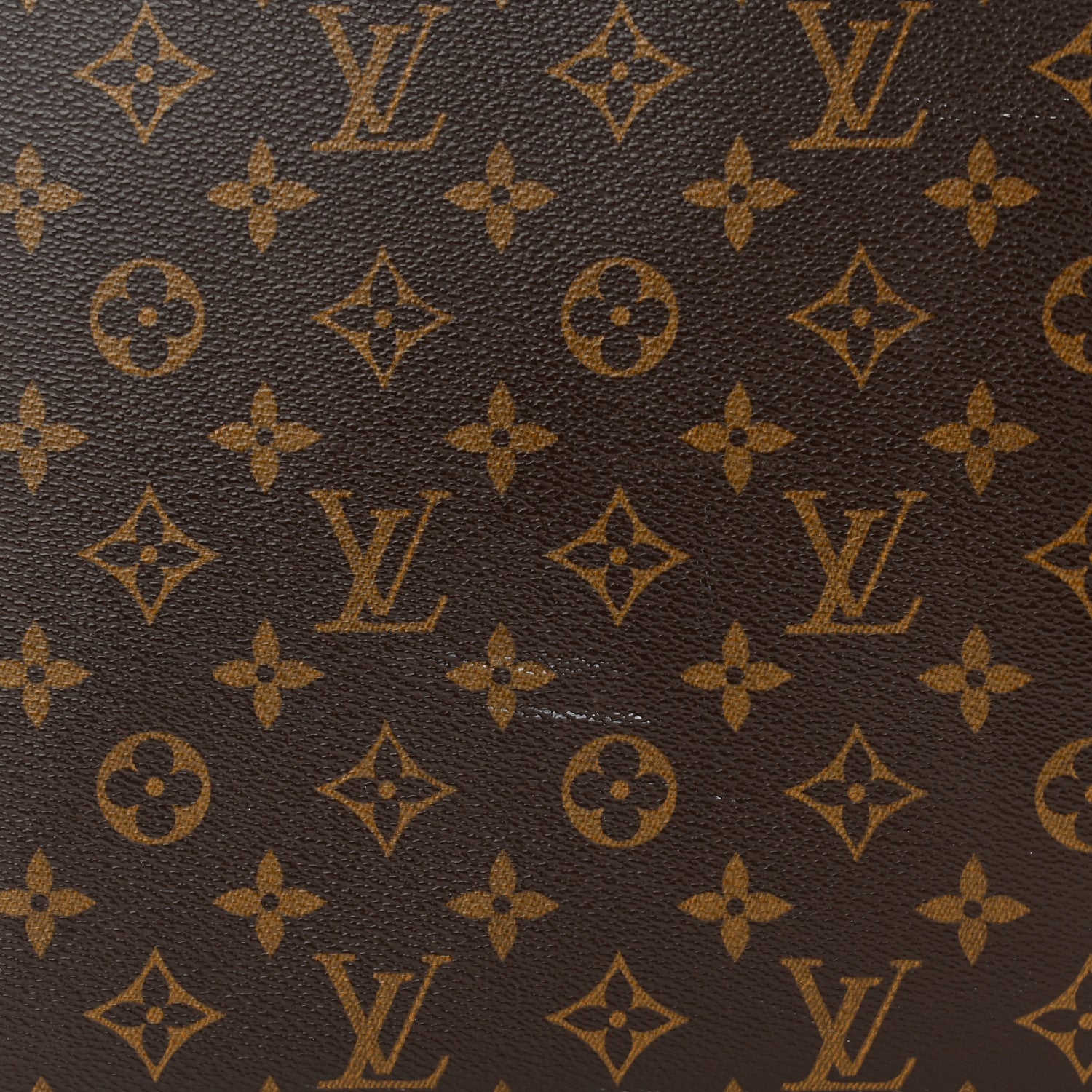 Louis Vuitton Monogram Luco