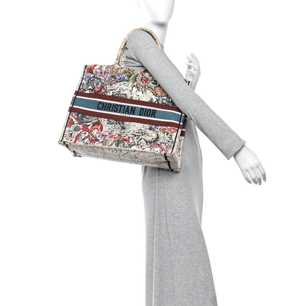 Christian Dior Canvas Embroidered Large Zodiac Book Tote Latte Multicolor