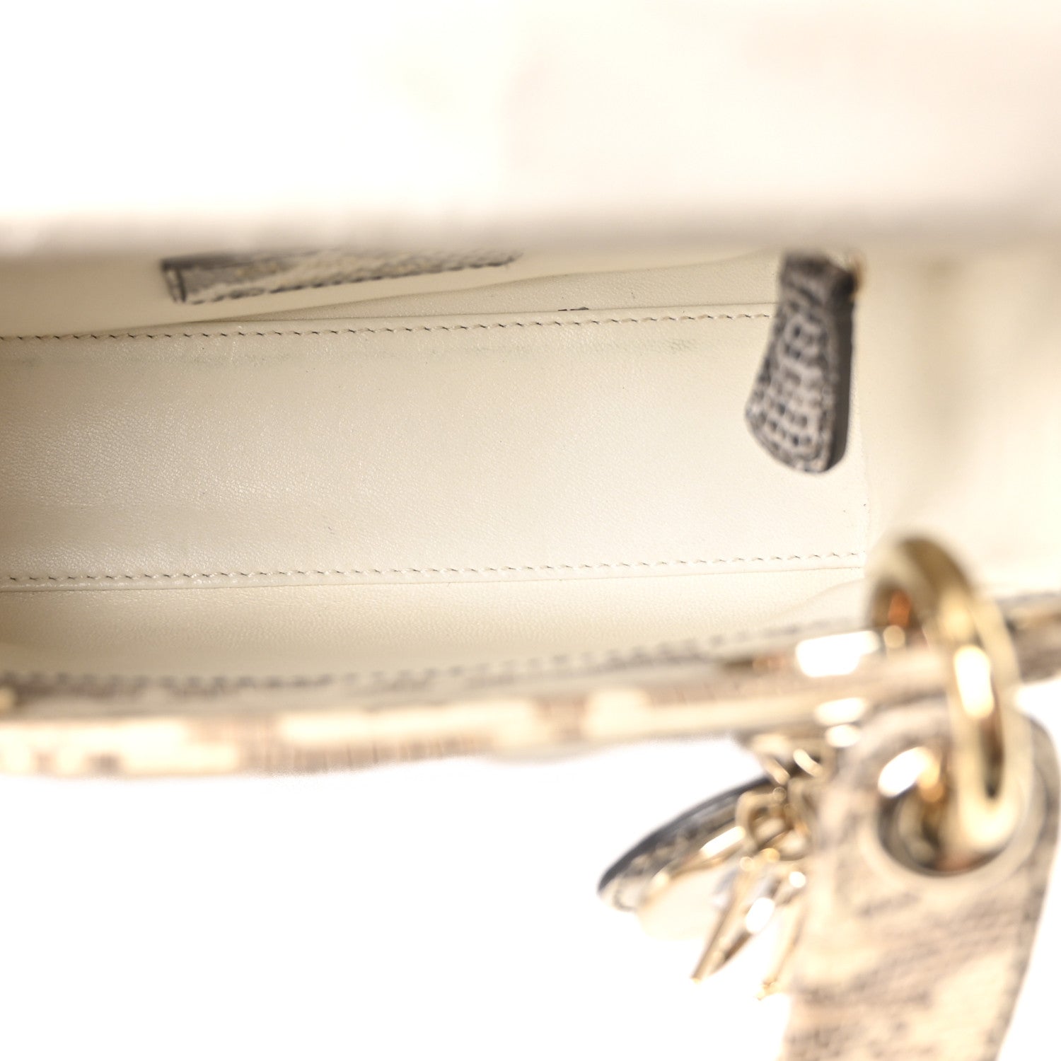 Christian Dior Lizard Ombre Mini Lady Dior
