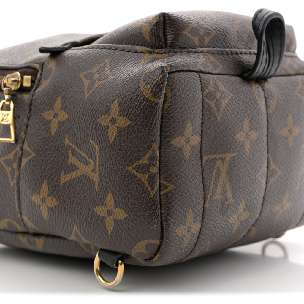 Louis Vuitton Monogram Palm Springs Backpack Mini