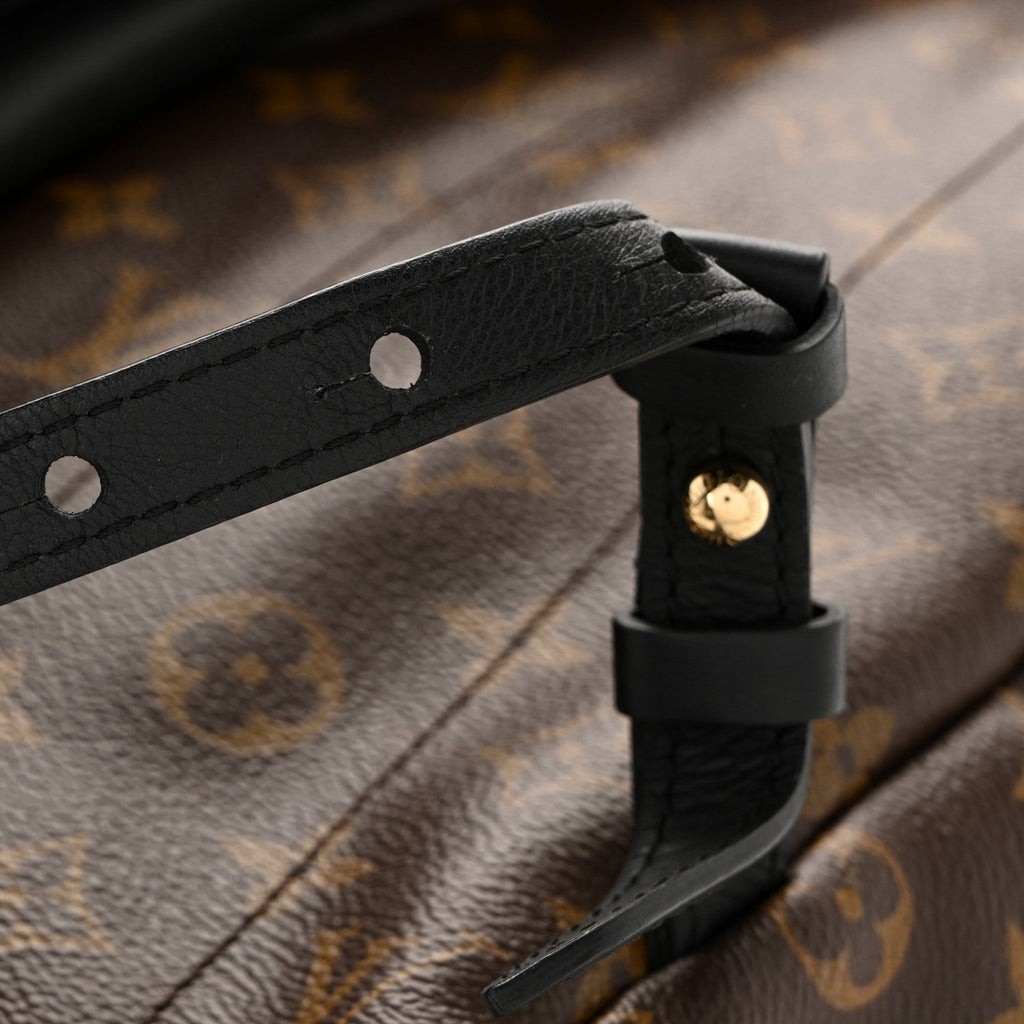 Louis Vuitton Monogram Palm Springs Backpack MM