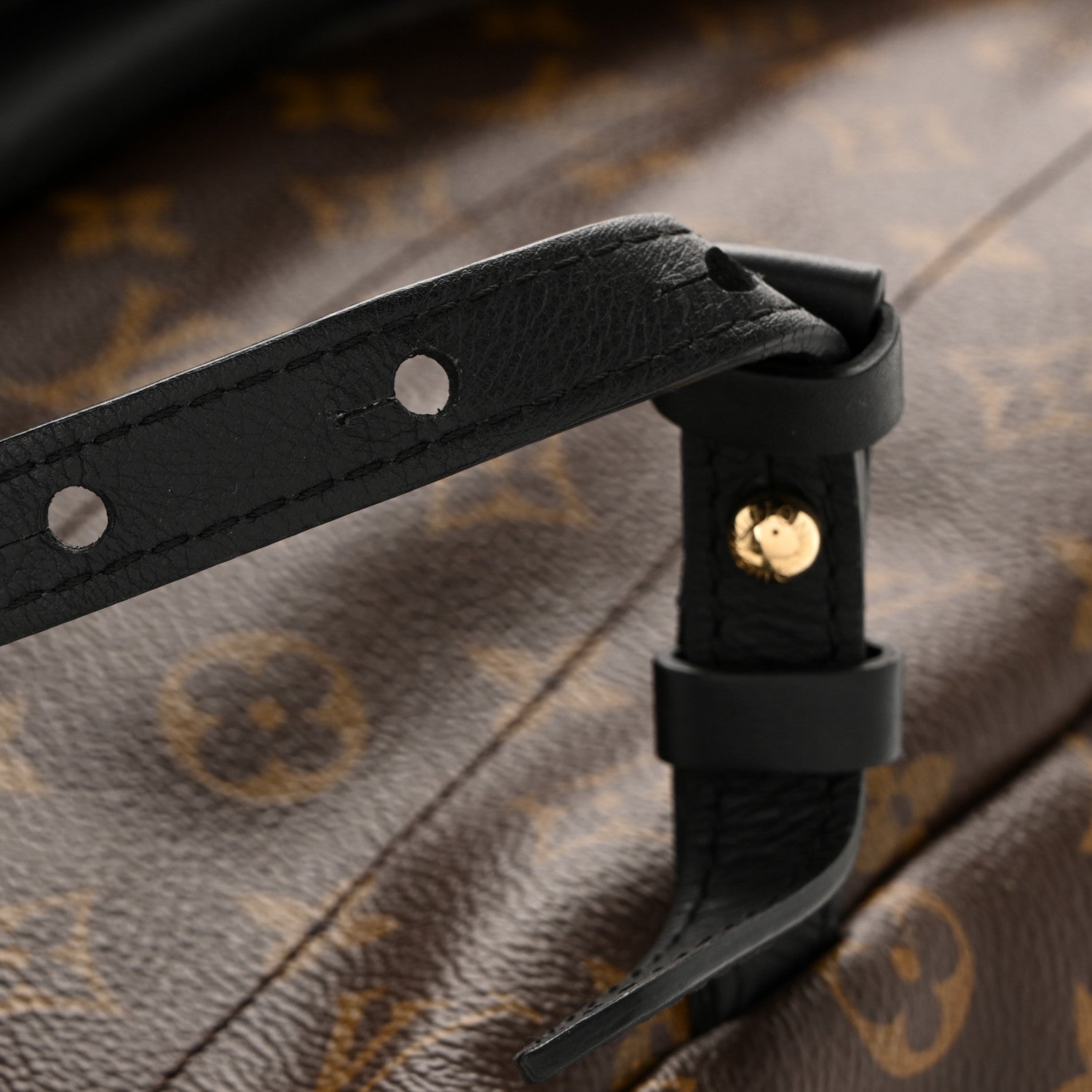 Louis Vuitton Monogram Palm Springs Backpack MM