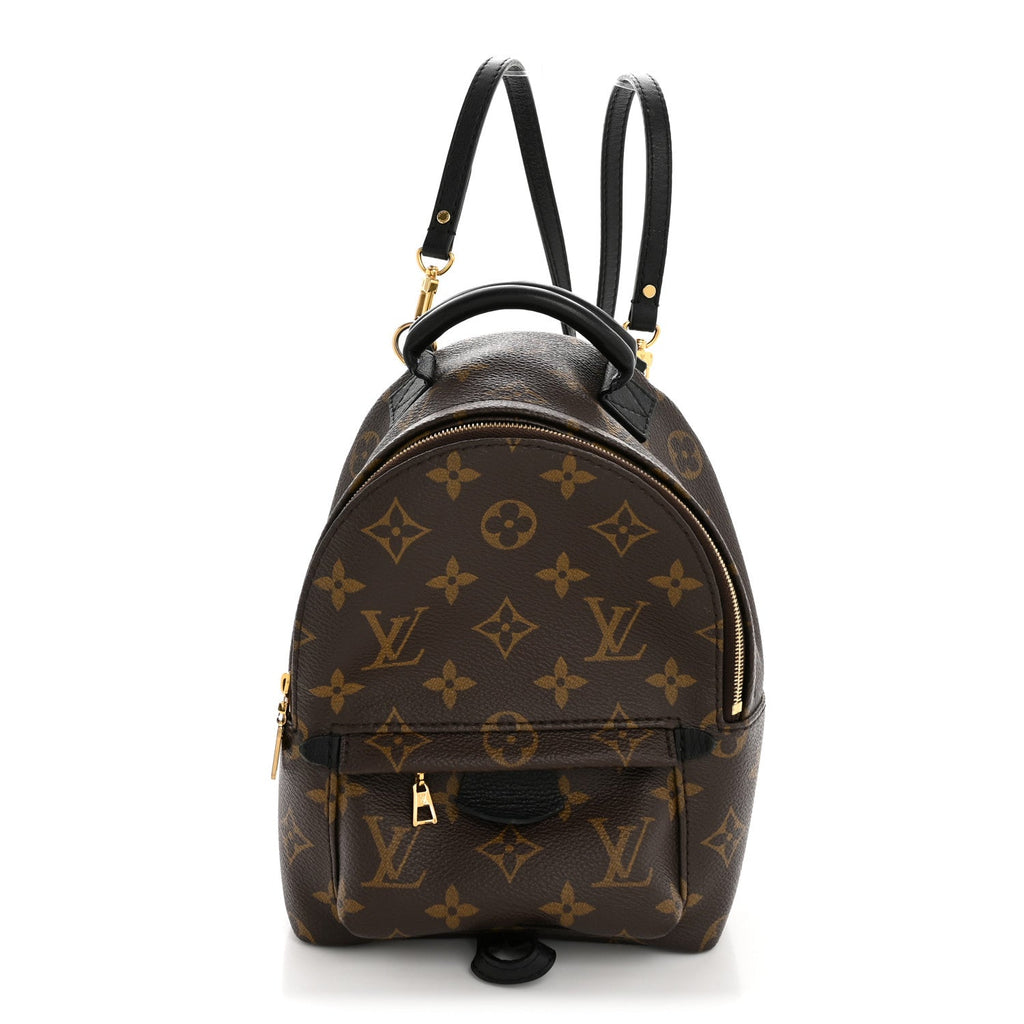 Louis Vuitton Monogram Palm Springs Backpack Mini