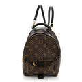 Louis Vuitton Monogram Palm Springs Backpack Mini