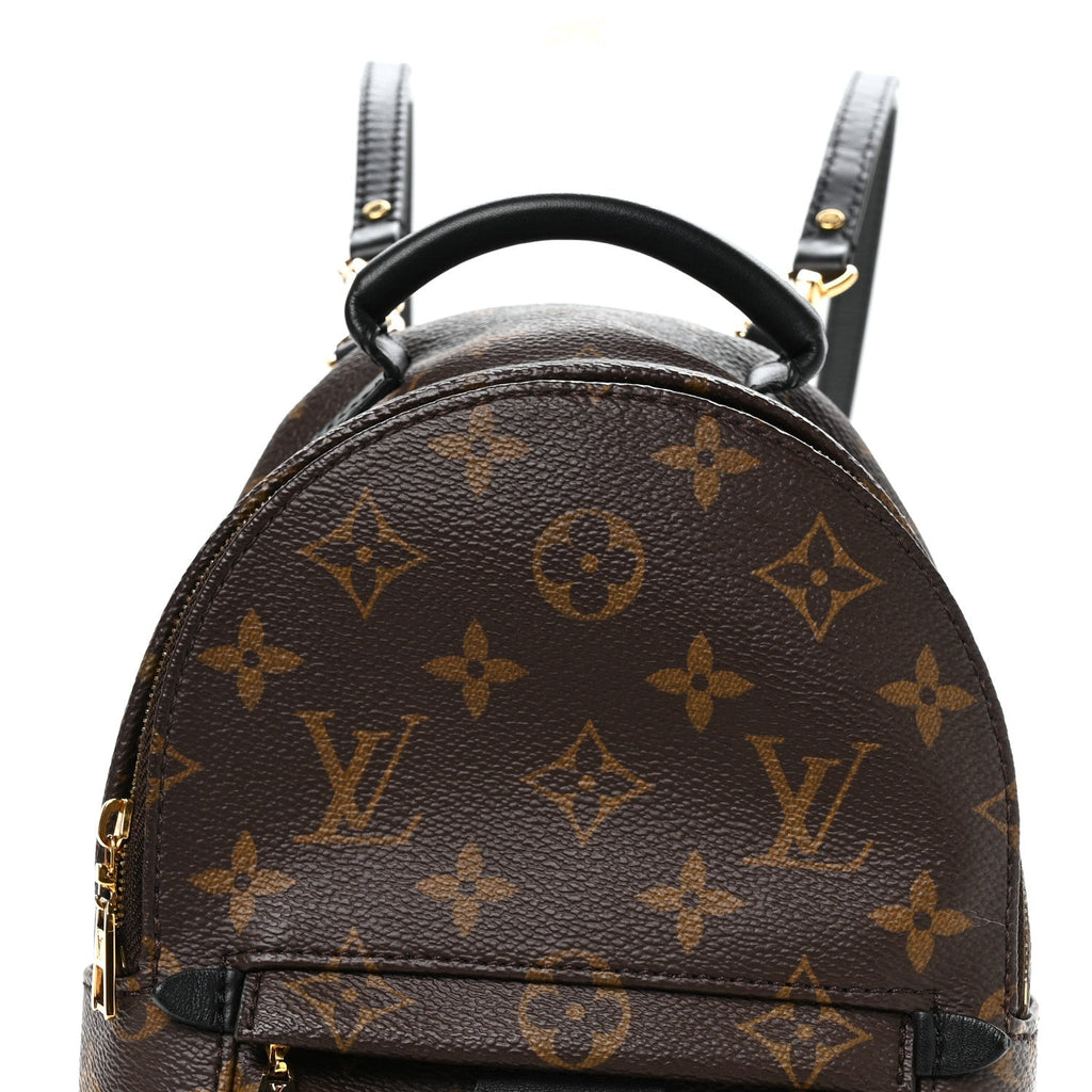 Louis Vuitton Monogram Palm Springs Backpack Mini