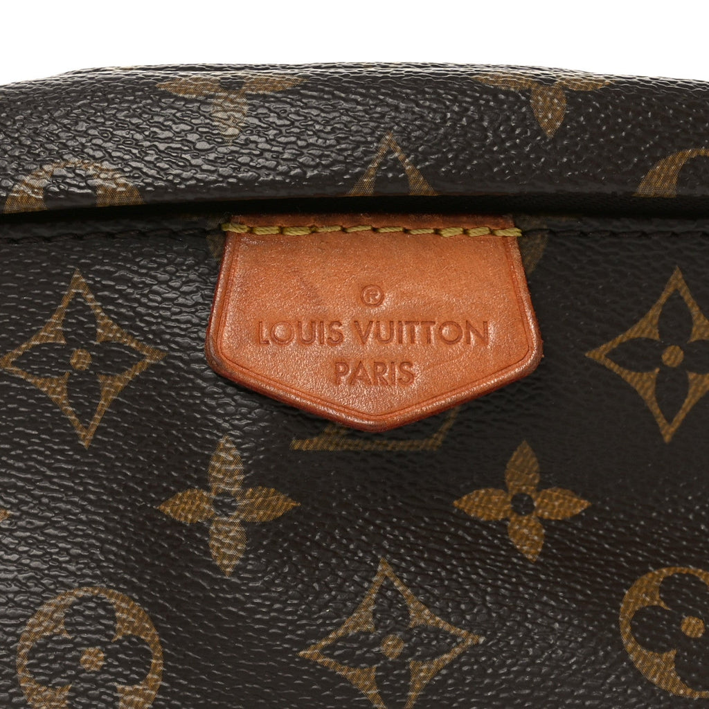 Louis Vuitton Monogram My LV World Tour Bumbag