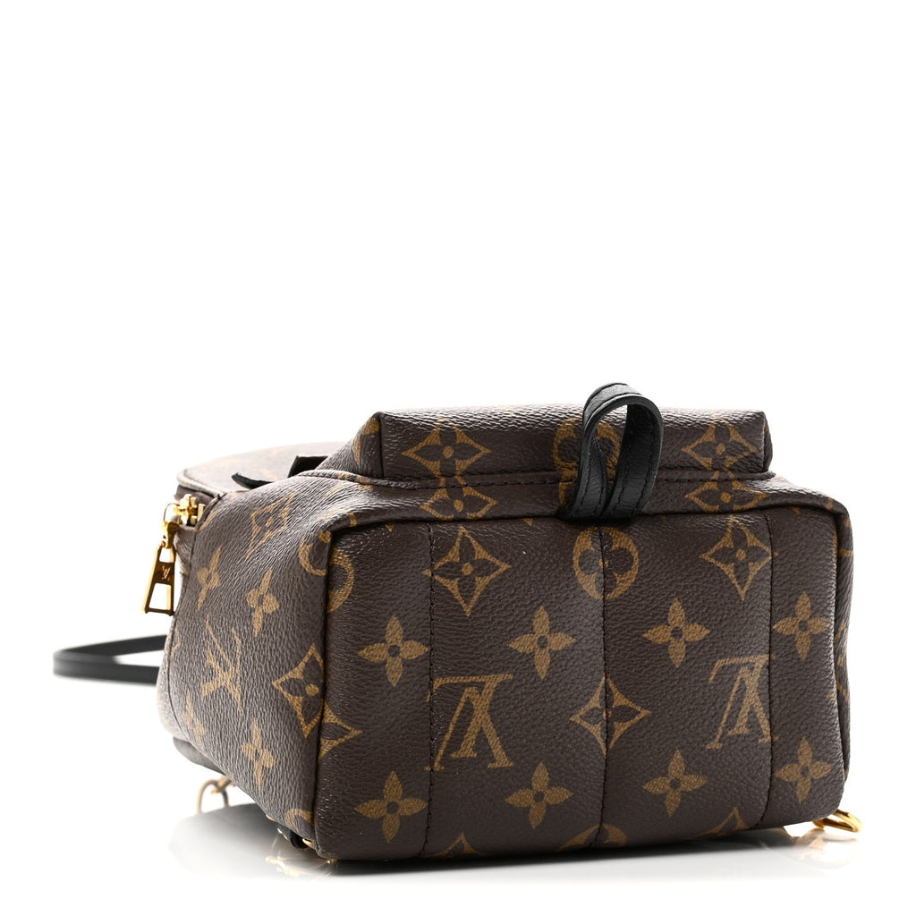 Louis Vuitton Monogram Palm Springs Backpack Mini