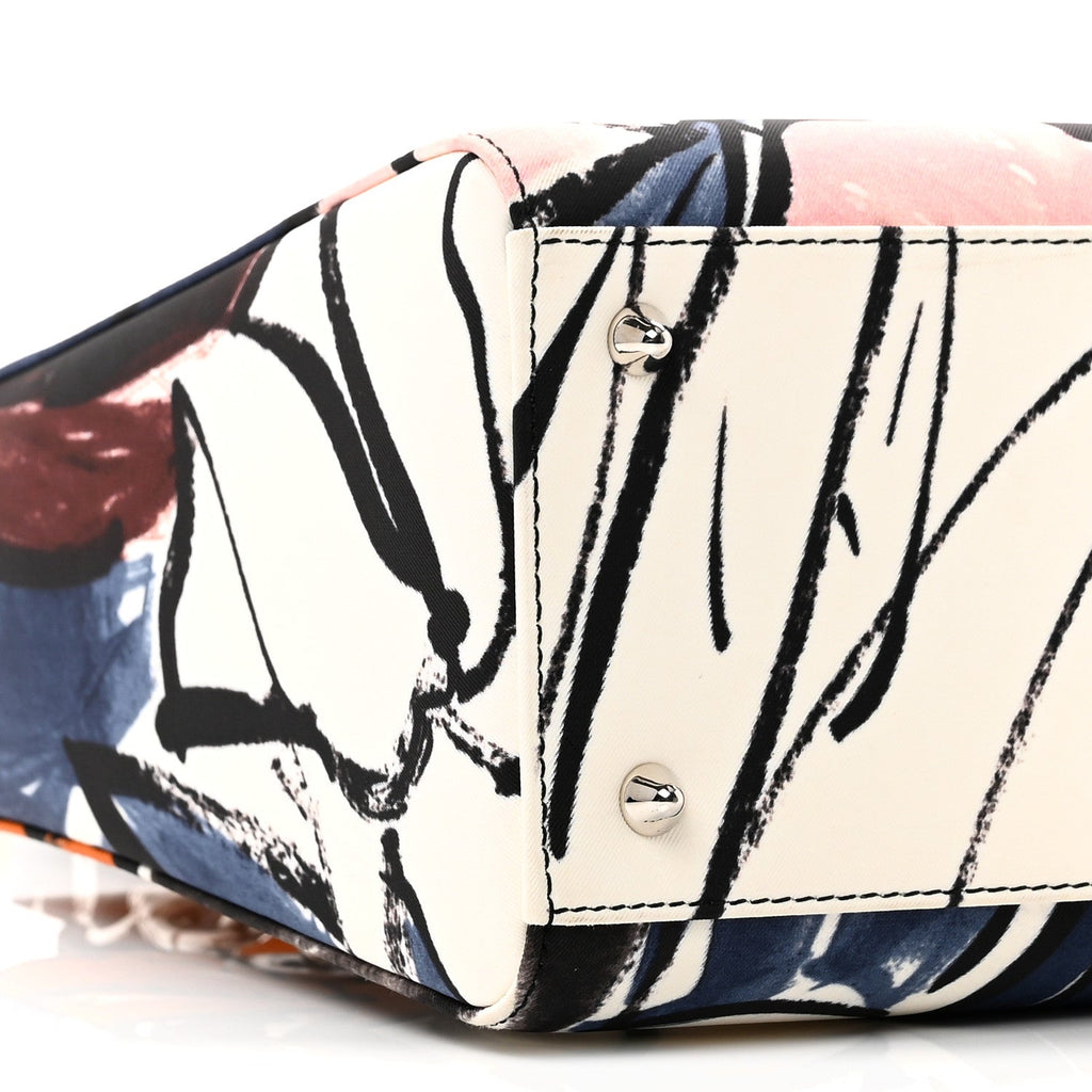 Christian Dior Canvas Graffiti Floral Printed Medium Lady Dior Multicolor