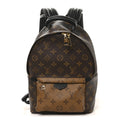 Louis Vuitton Reverse Monogram Palm Springs Backpack PM