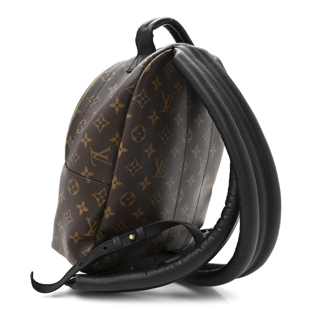 Louis Vuitton Reverse Monogram Palm Springs Backpack PM