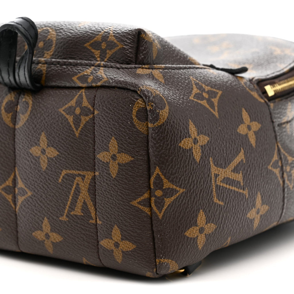 Louis Vuitton Monogram Palm Springs Backpack Mini