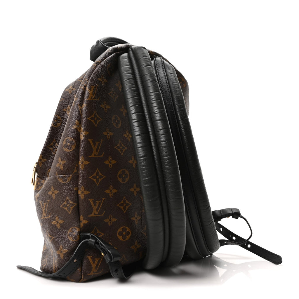 Louis Vuitton Monogram Palm Springs Backpack MM