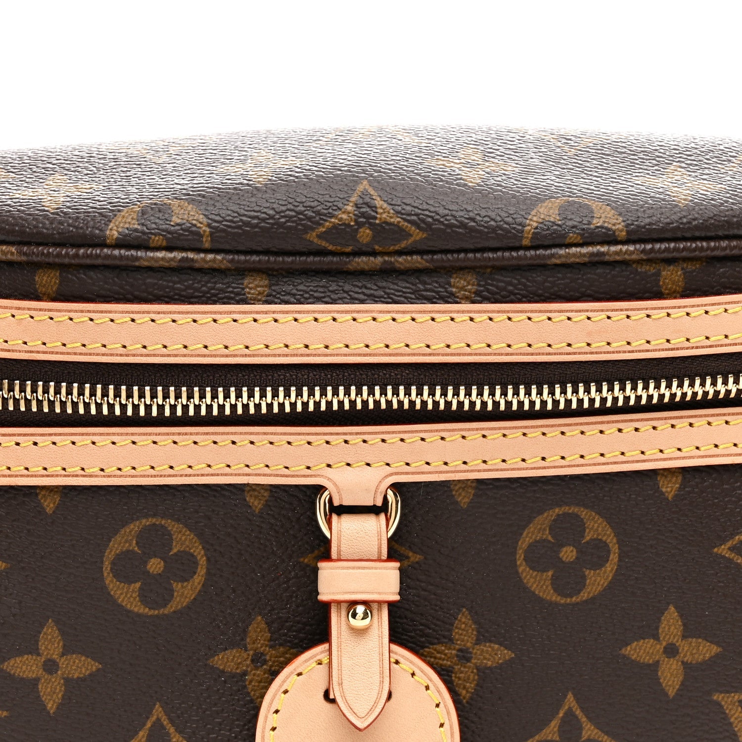 Louis Vuitton Monogram High Rise Bumbag