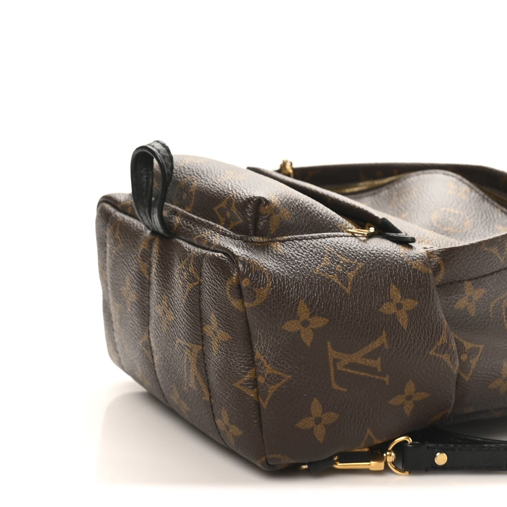 Louis Vuitton Monogram Palm Springs Backpack Mini