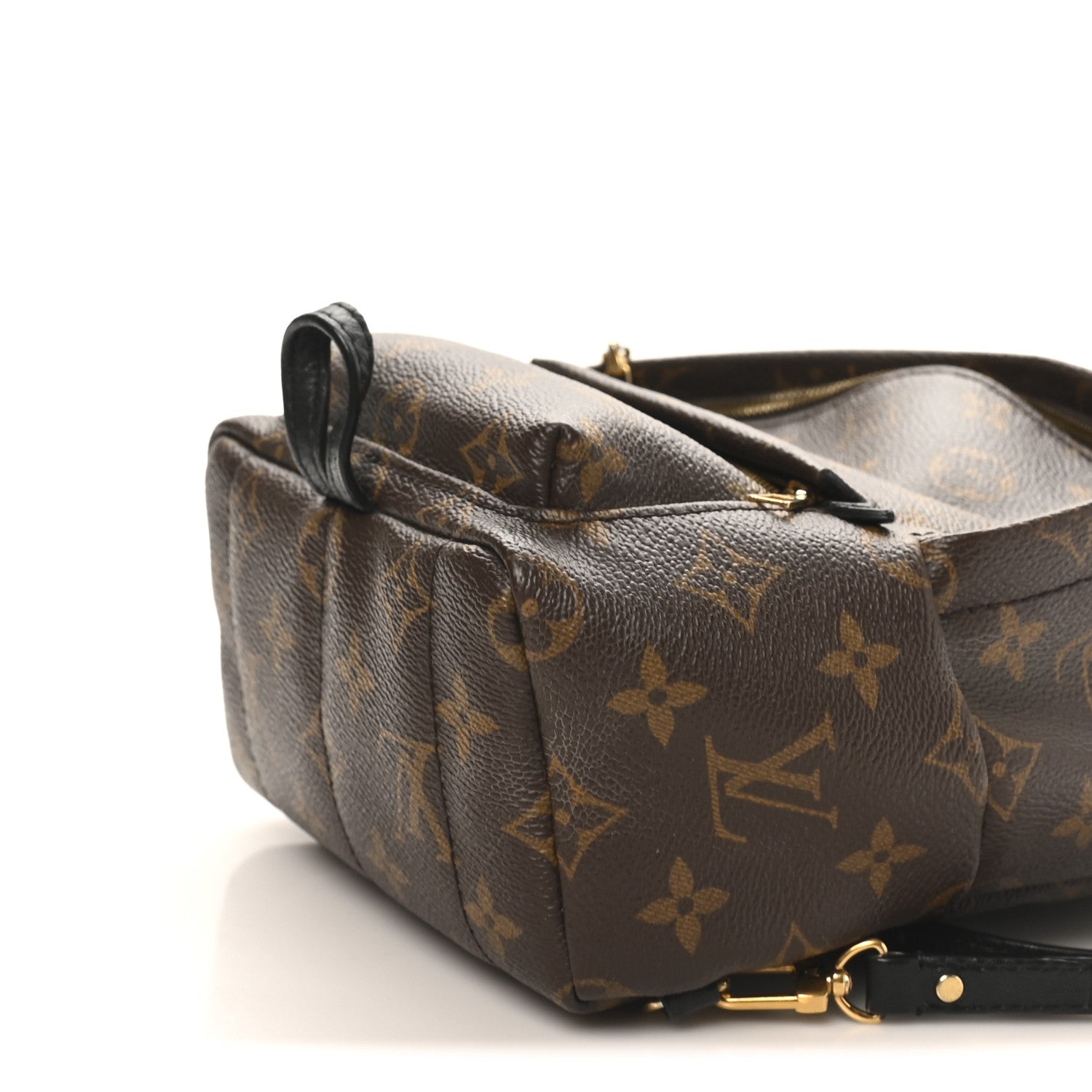 Louis Vuitton Monogram Palm Springs Backpack Mini