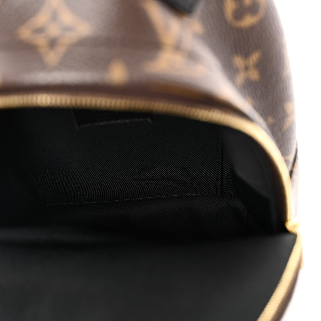 Louis Vuitton Monogram Palm Springs Backpack Mini