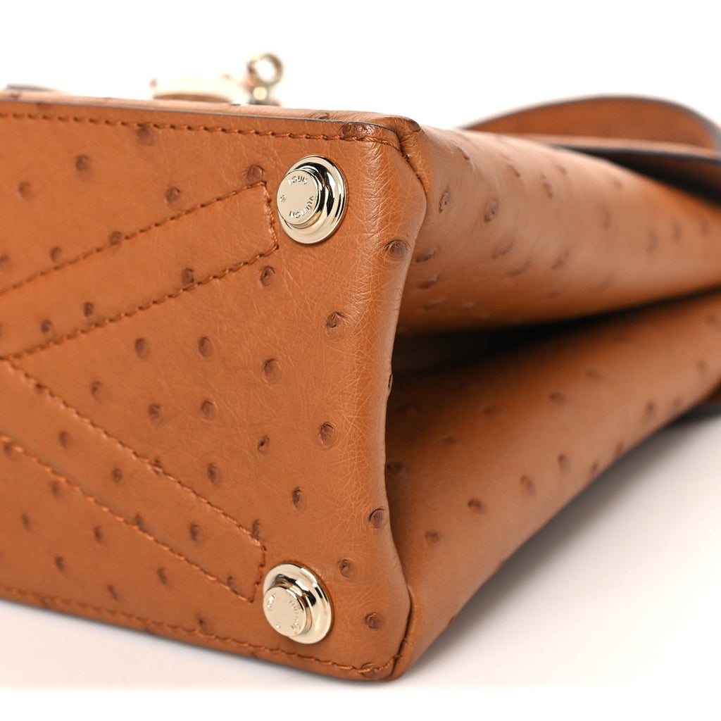 Louis Vuitton Ostrich Rose Des Vents PM Cognac
