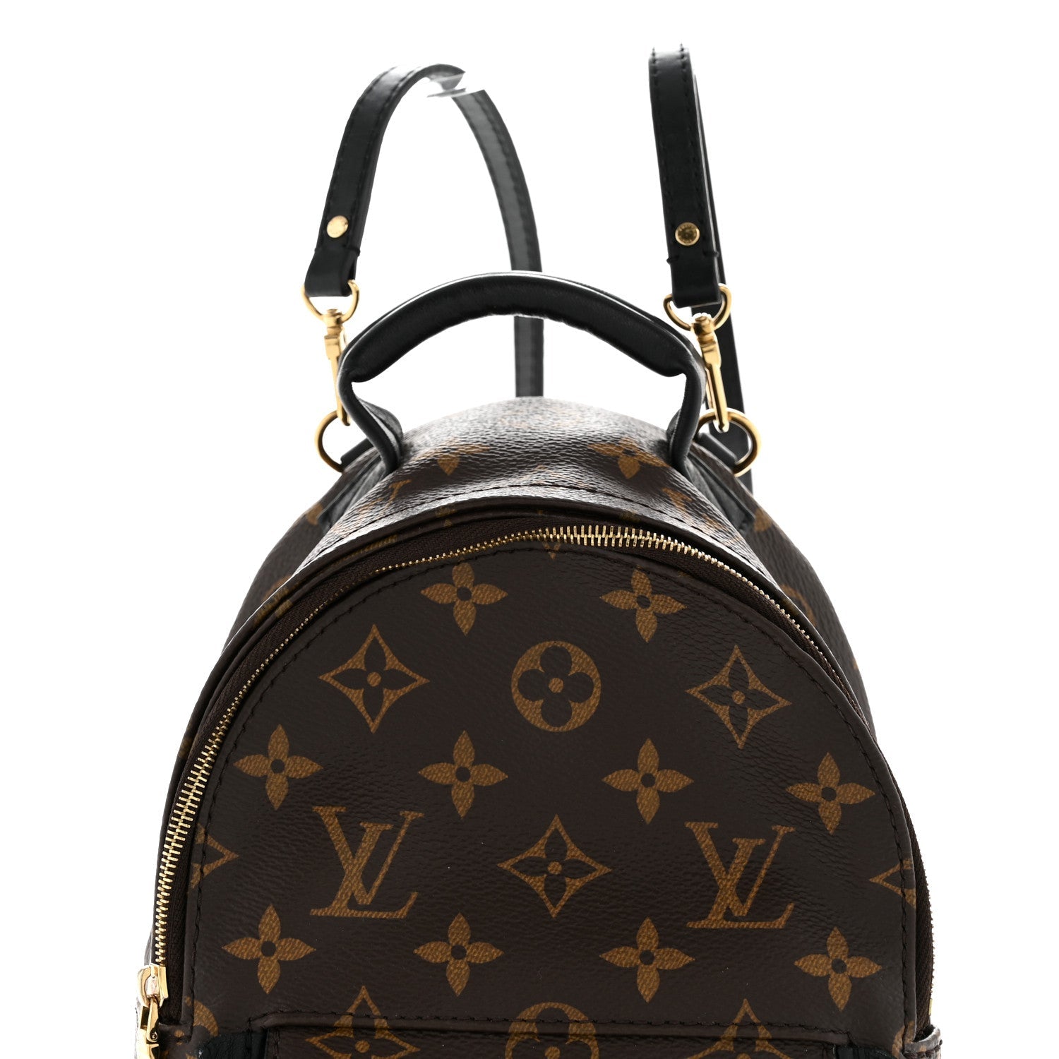 Louis Vuitton Monogram Palm Springs Backpack Mini