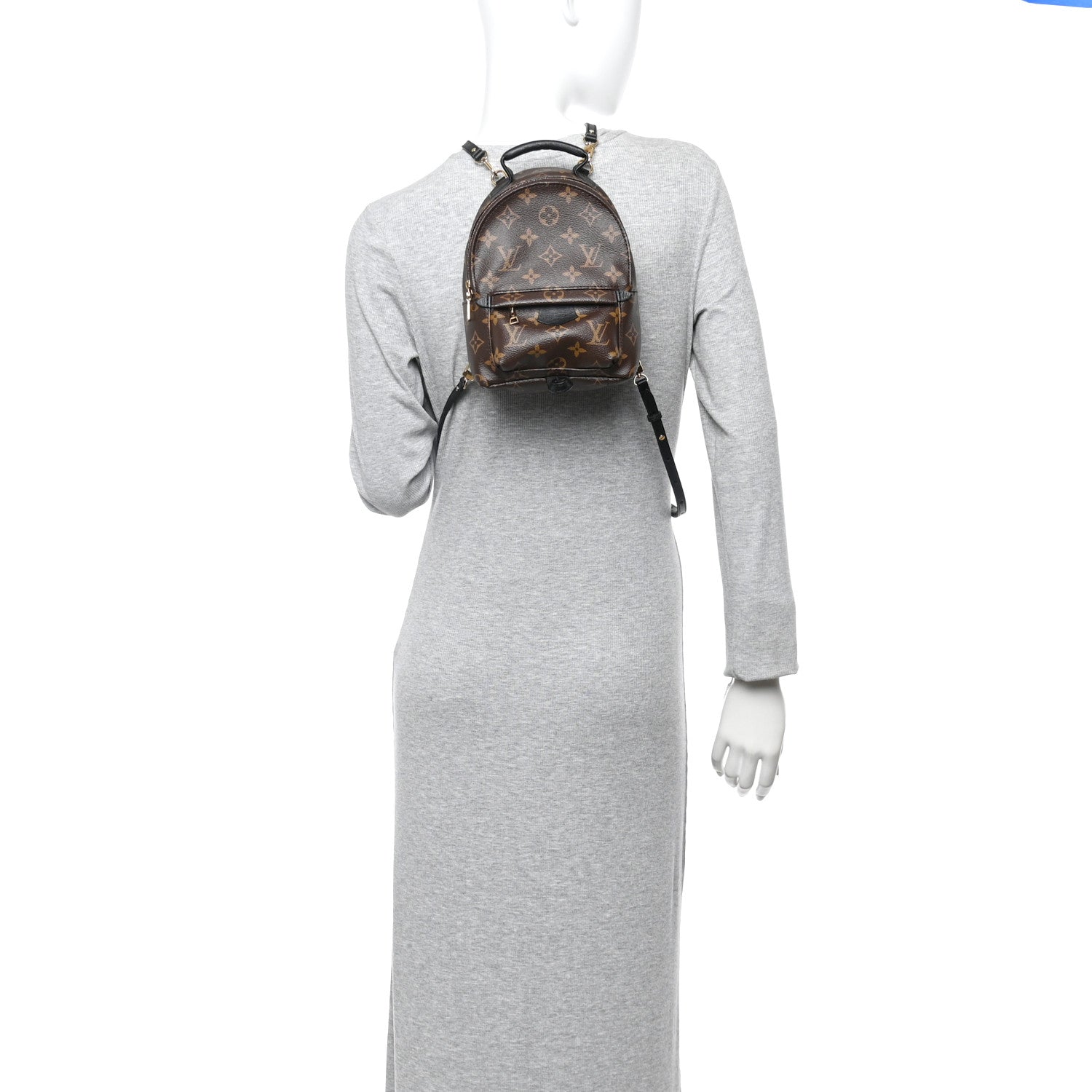 Louis Vuitton Monogram Palm Springs Backpack Mini