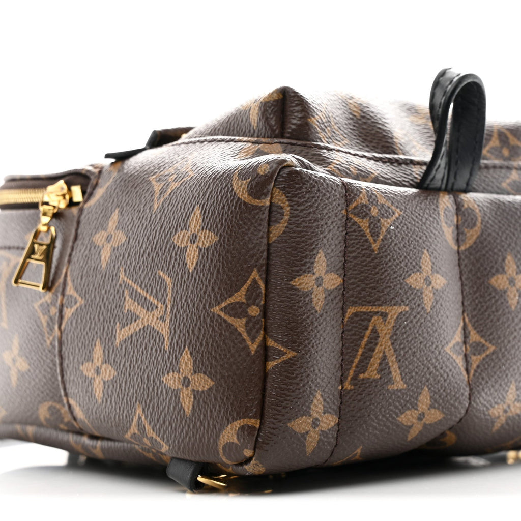Louis Vuitton Monogram Palm Springs Backpack Mini